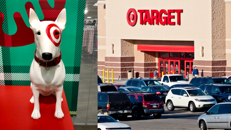 Is Target Pet Friendly: An Informative guide