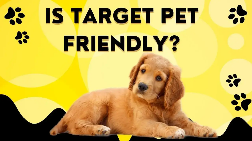 Is Target Pet Friendly