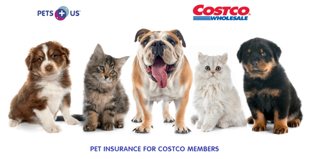 Costco Pet Insurance